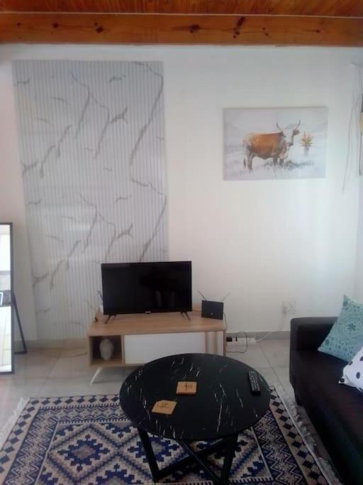Apartment Anglerfish *